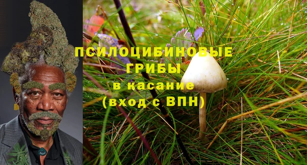 амф Алзамай