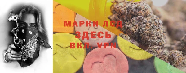 амф Алзамай