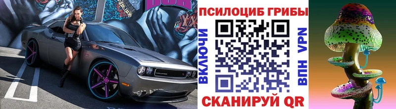 Галлюциногенные грибы Psilocybine cubensis  Чишмы 